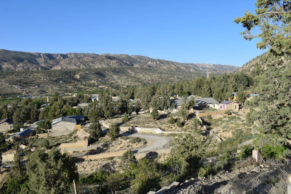 bail bonds Lytle Creek